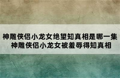 神雕侠侣小龙女绝望知真相是哪一集 神雕侠侣小龙女被羞辱得知真相